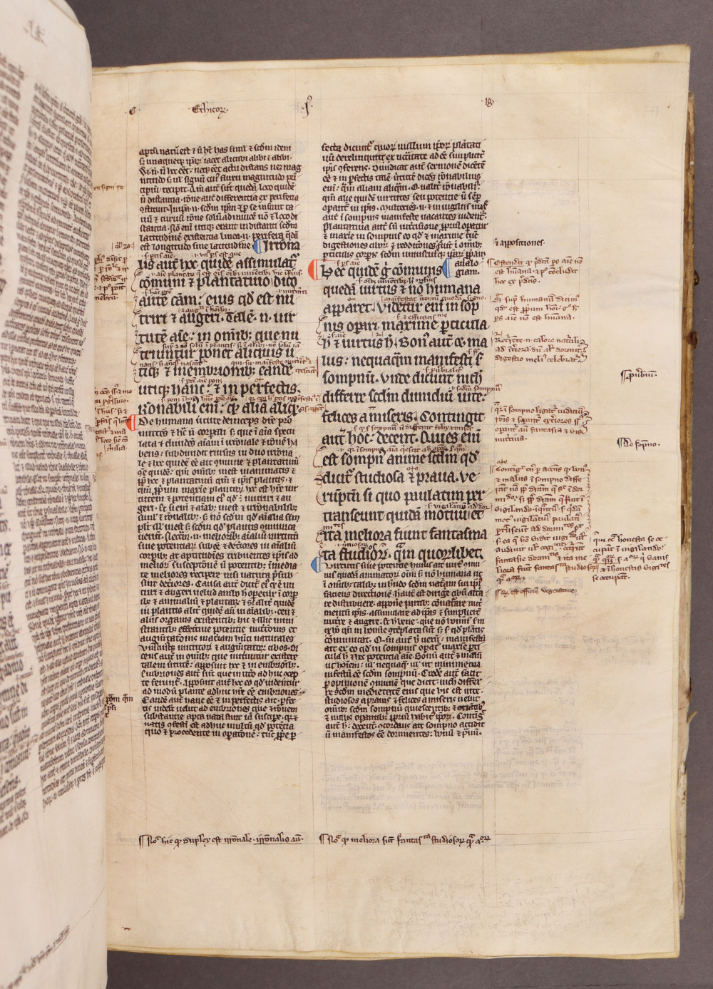 Folio 41 recto